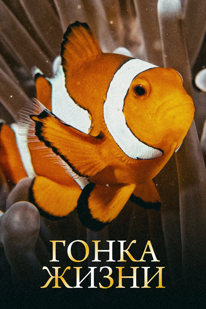 Гонка жизни (2015)