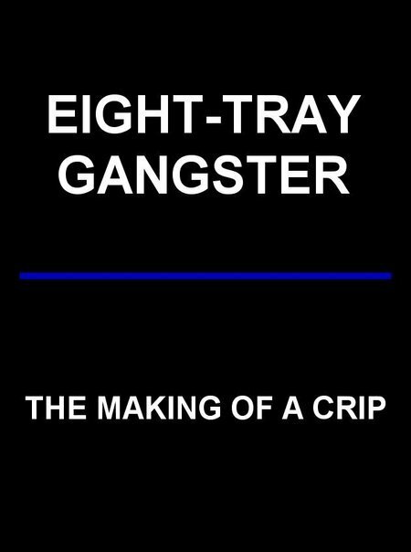 Eight-Tray Gangster: The Making of a Crip (1993)
