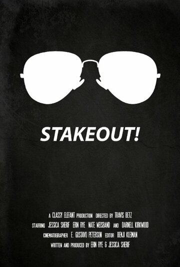 Stakeout! (2015)