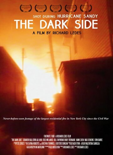 The Dark Side (2015)