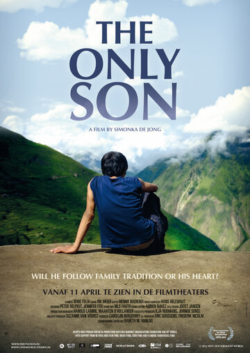 Единственный сын (2013)